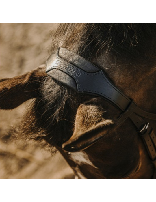 Bridon ERIC THOMAS "Bat"