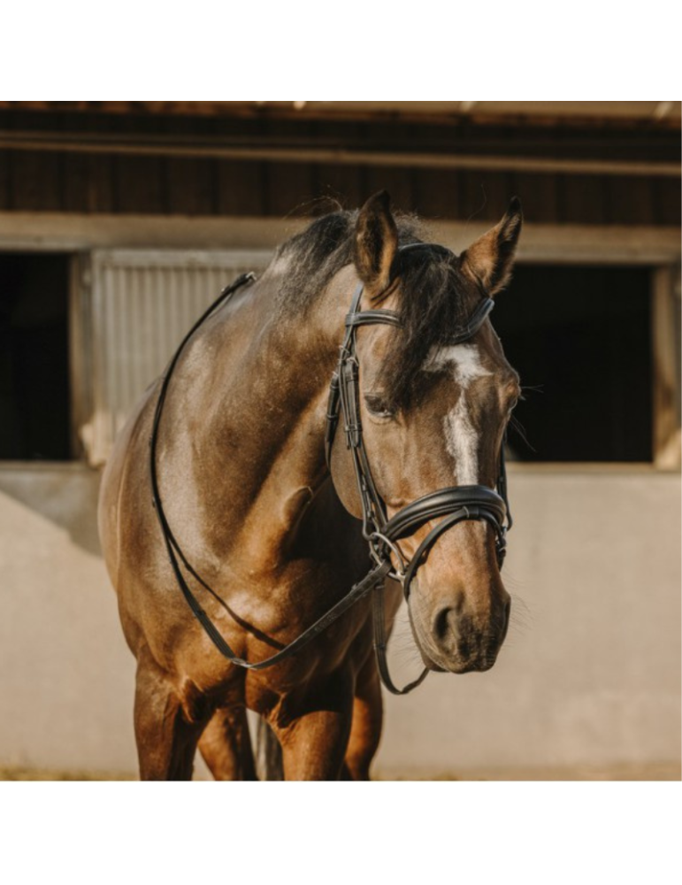 Bridon ERIC THOMAS "Bat"