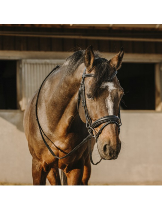 Bridon ERIC THOMAS "Bat"