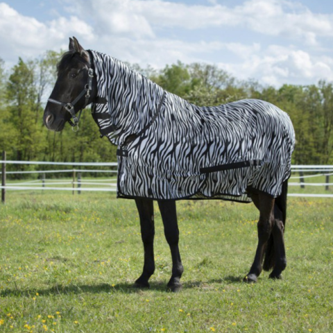 Chemise filet RIDING WORLD "Combo"