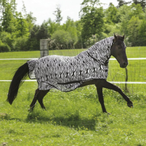 Chemise filet RW "Combo" zébré 2