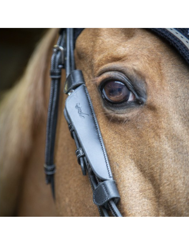 Oeillères PENELOPE "Blinkers"