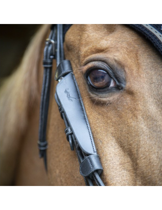 Oeillères PENELOPE "Blinkers"