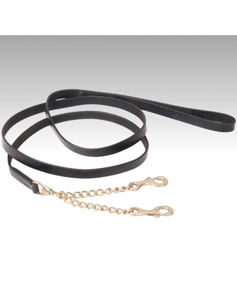 Longe de présentation double