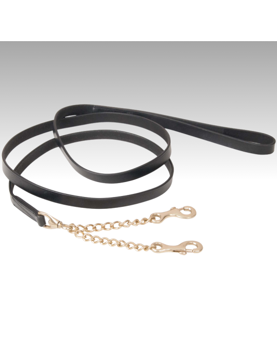 Longe de présentation double