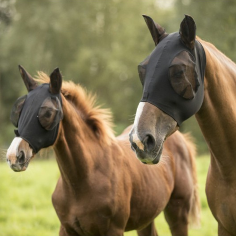 Masque anti-mouches LAMI-CELL 2