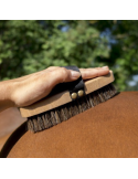 Brosse extra-douce HIPPOTONIC