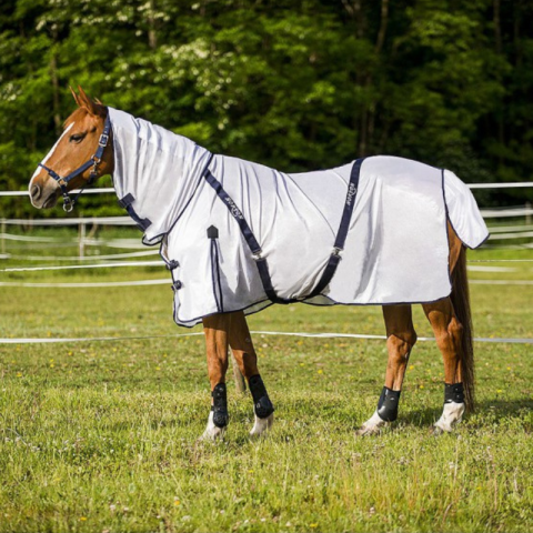 Chemise EQUITHÈME Combo 2