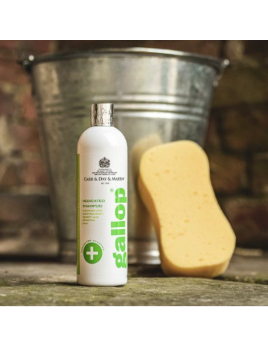 Shampoing antibactérien Gallop
