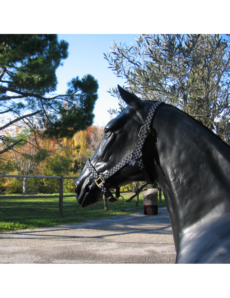 Licol nylon à carreaux SB