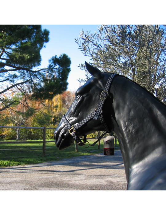 Licol nylon à carreaux SB