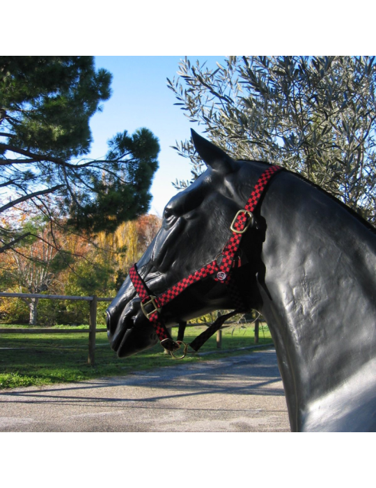 Licol nylon à carreaux SB