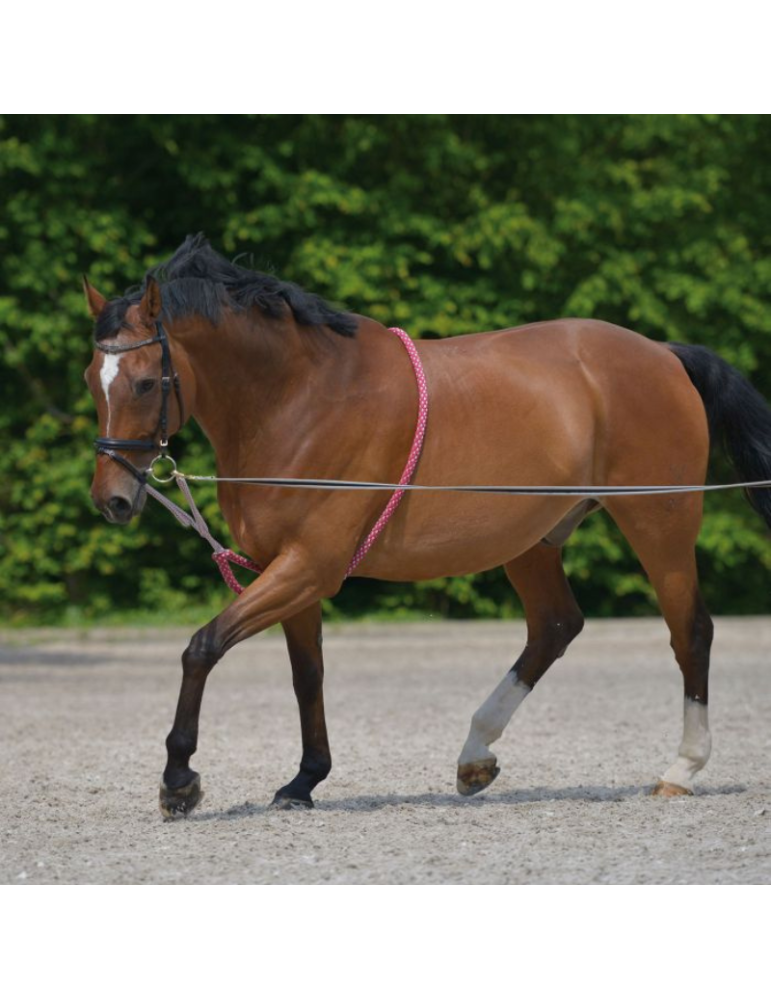 Enrênement spécial Enrênement spécial