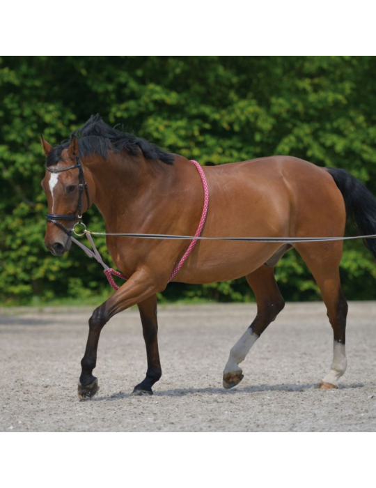 Enrênement spécial Enrênement spécial