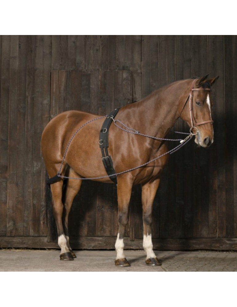 Enrênement à poulies NORTON