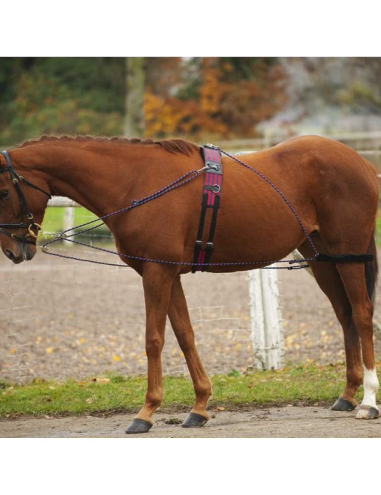 Enrênement à poulies NORTON