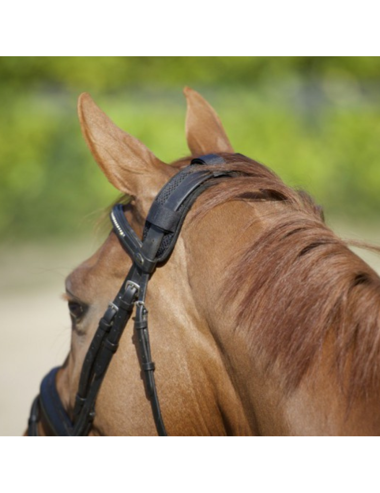 Protège nuque BACK ON TRACK Protège nuque BACK ON TRACK