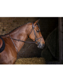 Martingale fixe RIDING WORLD