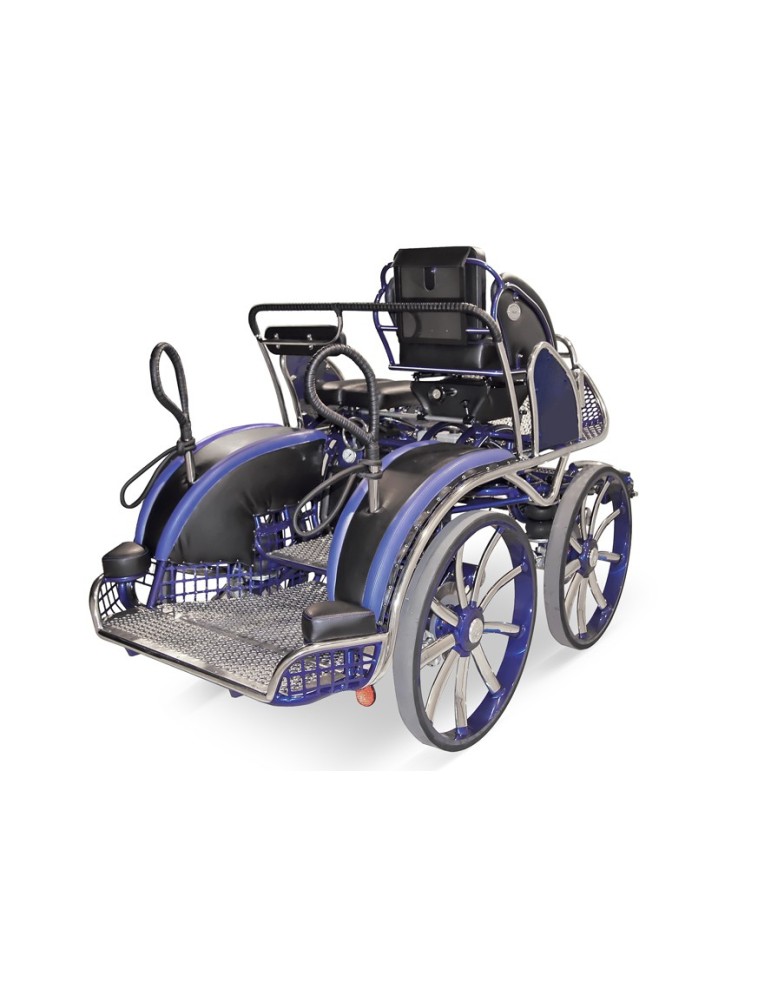 Voiture d'attelage Falcon 600, 4 chevaux.