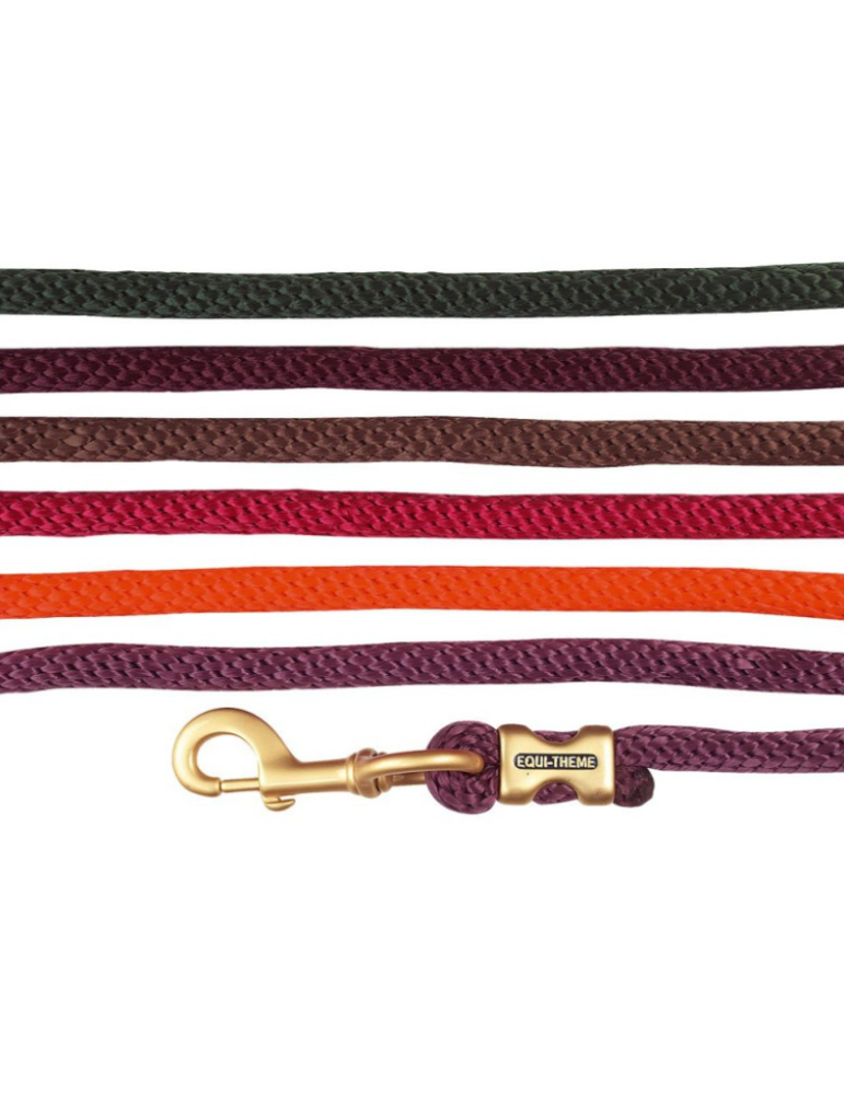 Longe d'attache EQUITHEME