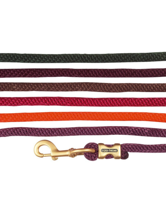 Longe d'attache EQUITHEME