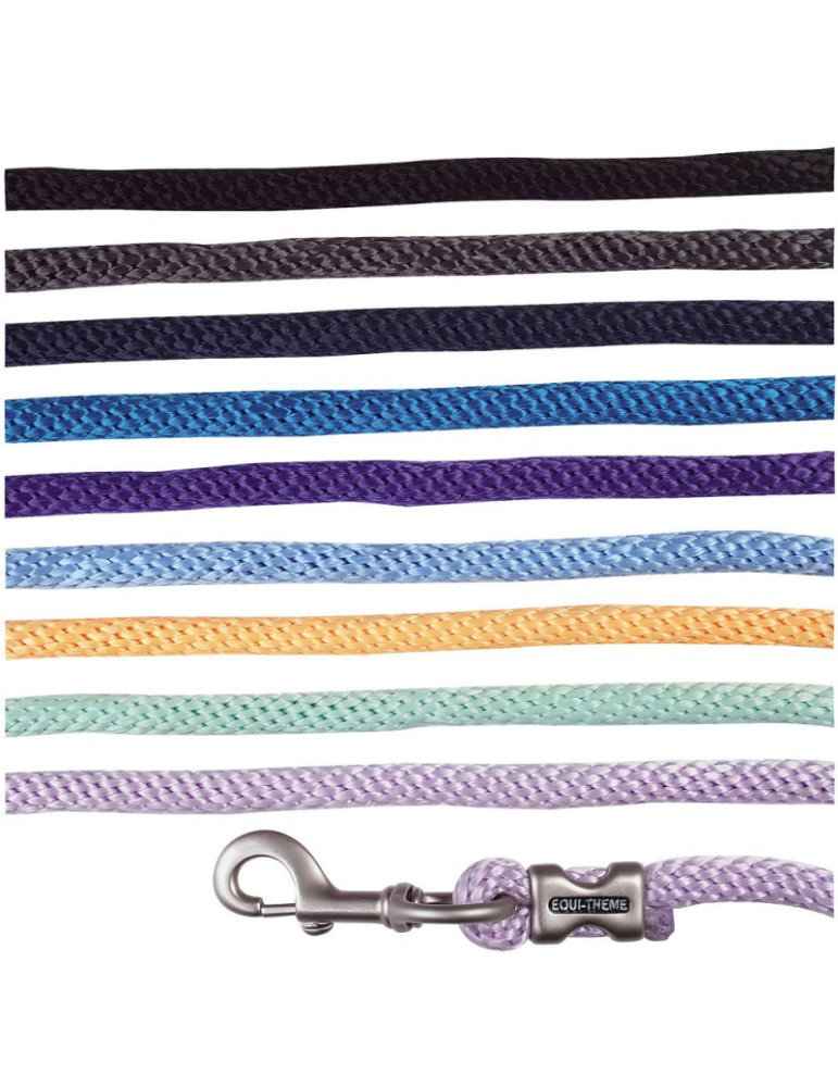 Longe d'attache EQUITHEME