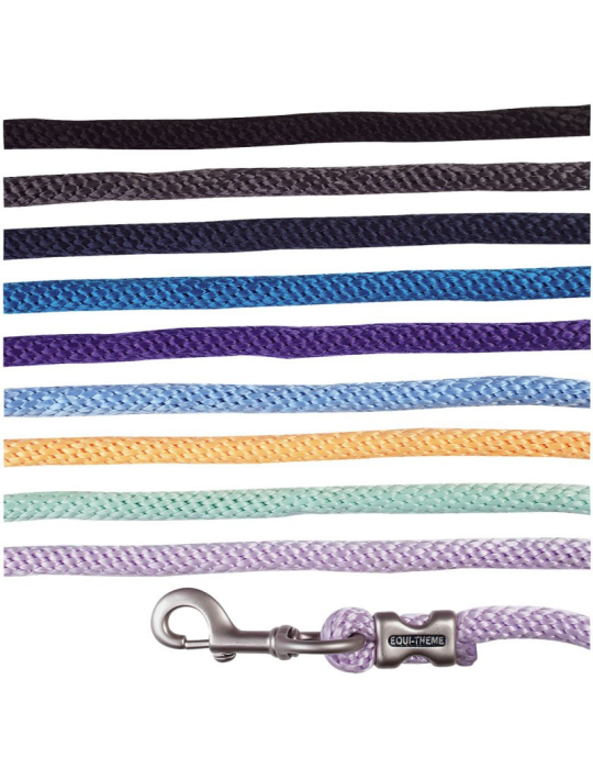 Longe d'attache EQUITHEME