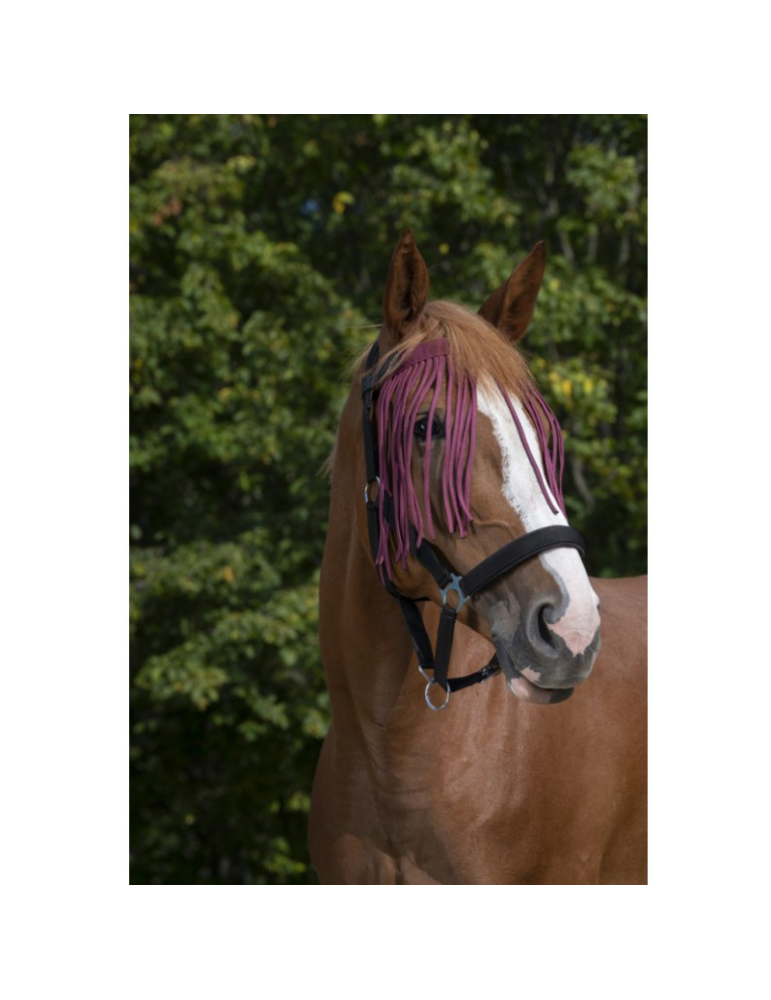 Frontal chasse-mouches Norton