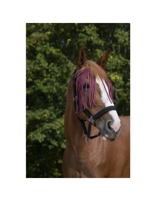 Frontal chasse-mouches Norton