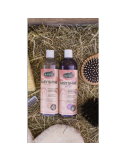 Shampoing Easy Shine Grey