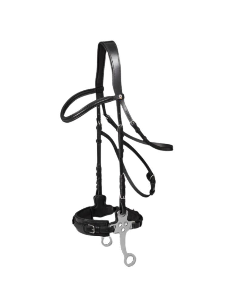 Bridon hackamore - WALDHAUSSEN