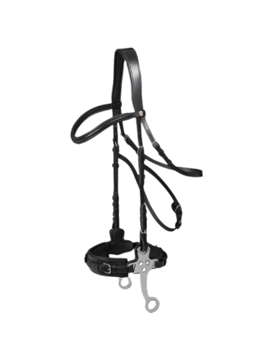 Bridon hackamore - WALDHAUSSEN