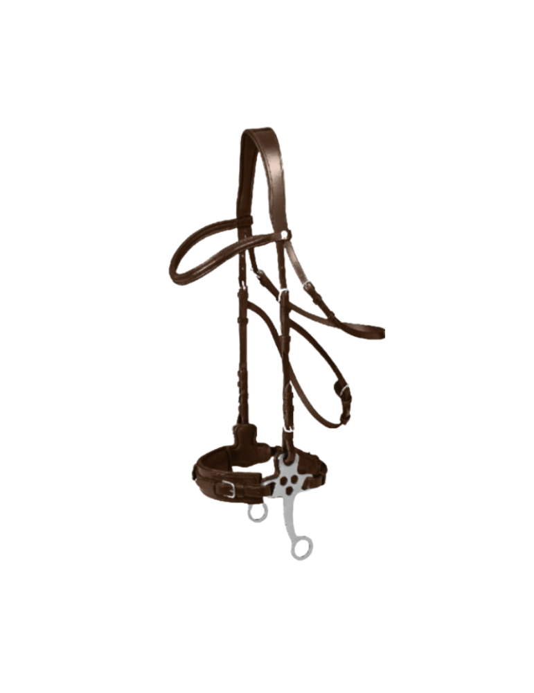 Bridon hackamore - WALDHAUSSEN