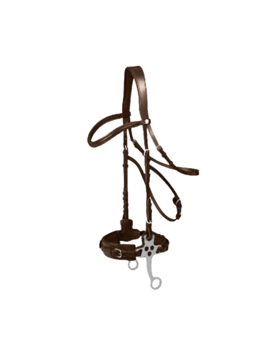 Bridon hackamore - WALDHAUSSEN