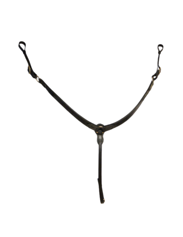 Collier de chasse de randonnée SB