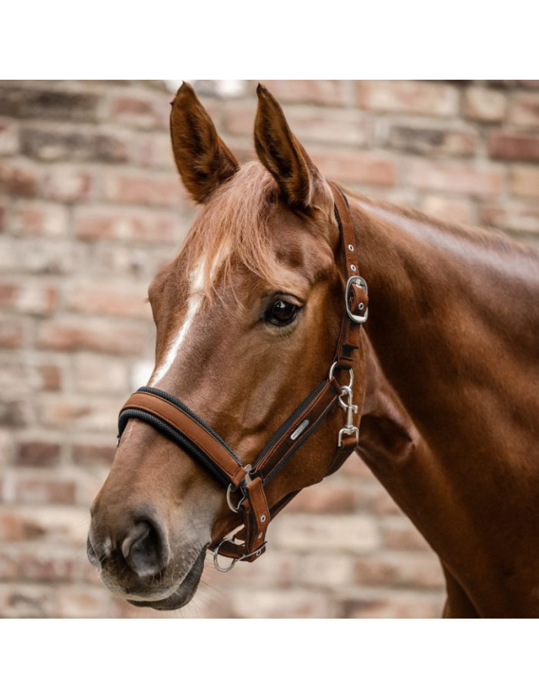 Licol Breath WALDHAUSEN