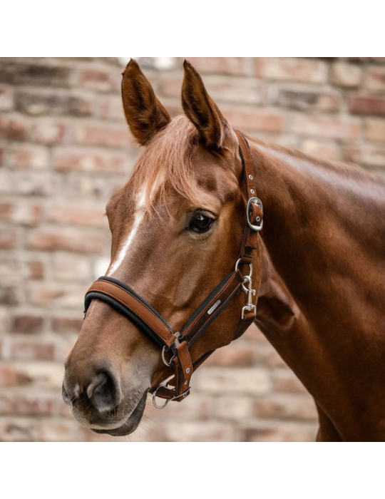 Licol Breath WALDHAUSEN