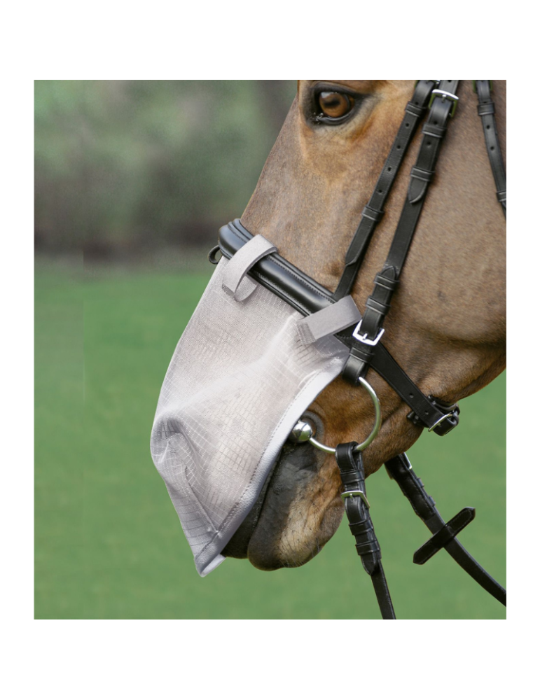 Anti-mouches pour chanfrein WALDHAUSEN