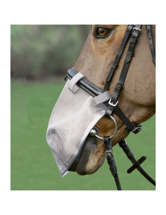 Anti-mouches pour chanfrein WALDHAUSEN