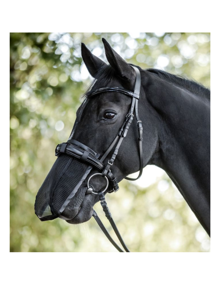 Anti-mouches pour chanfrein WALDHAUSEN