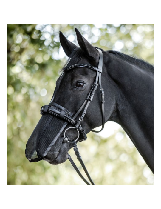 Anti-mouches pour chanfrein WALDHAUSEN