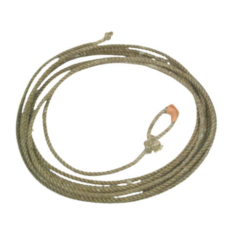 Lasso