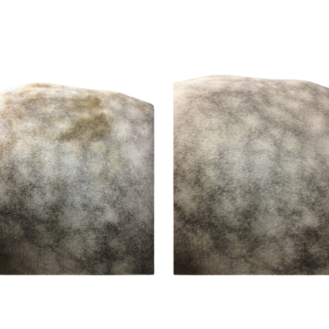 Easy Shine Mouss RAVENE 2