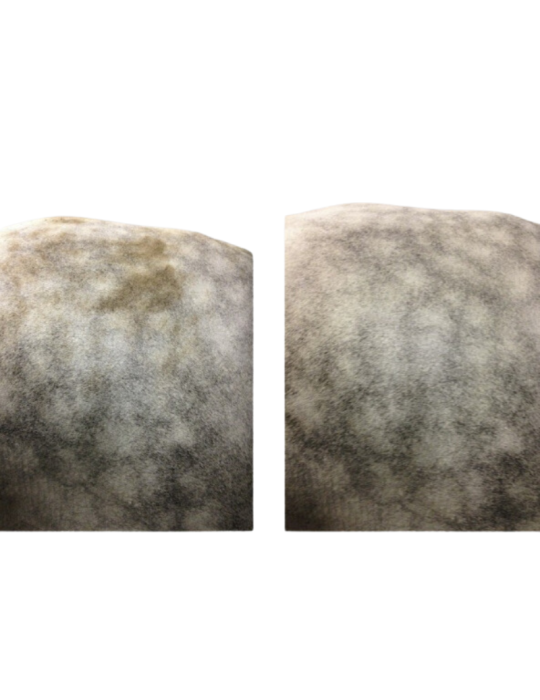 Easy Shine Mouss RAVENE