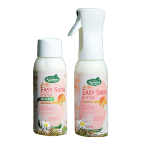 Brumisateur Easy Shine Intense RAVENE 2