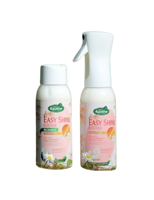 Brumisateur Easy Shine Intense RAVENE