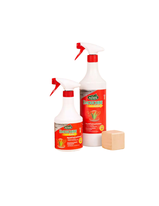 Emouchine Total RAVENE