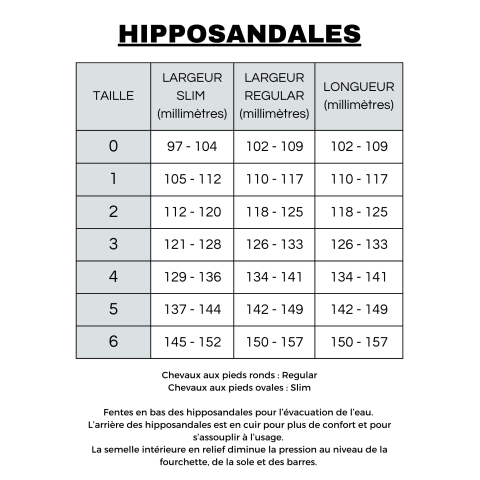 Hipposandales simple - CAVALLO 2