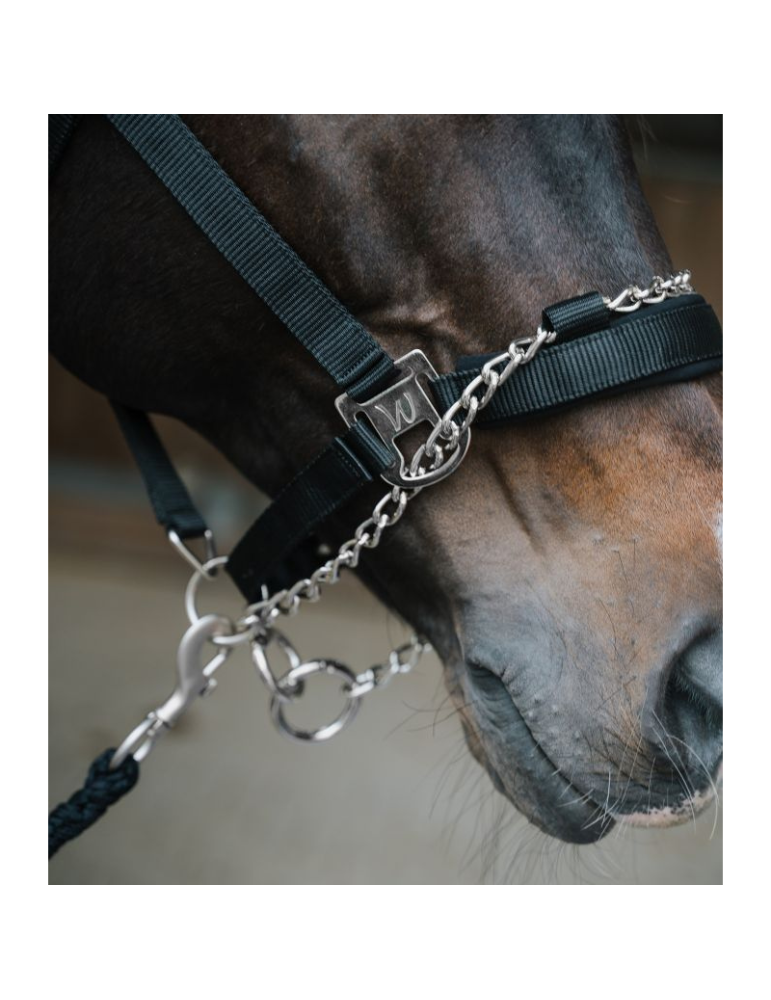 Licol Pro Safety - Waldhausen