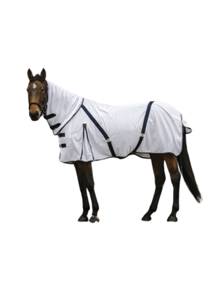 Chemise "Mesh Combo" EQUITHEME